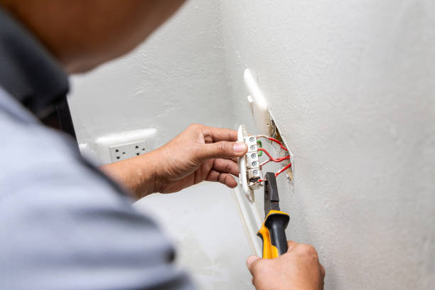 Best Residential Electrician Services  in Palmview, TX