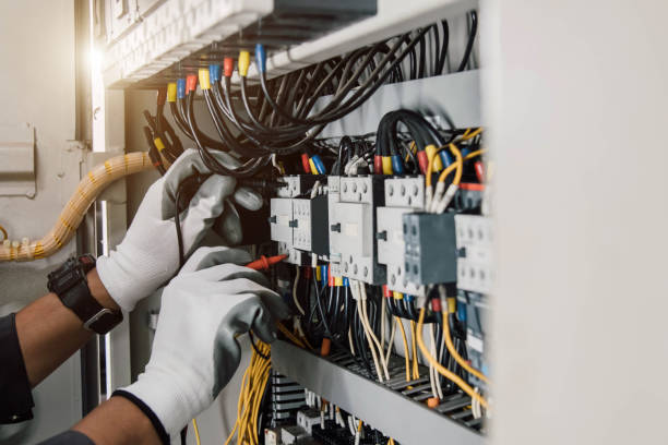 Best Electric Panel Repair  in Palmview, TX
